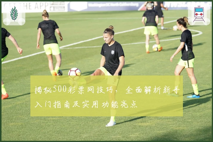 揭秘500彩票网技巧，全面解析新手入门指南及实用功能亮点