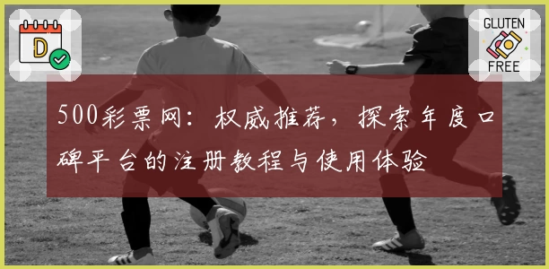 500彩票网：权威推荐，探索年度口碑平台的注册教程与使用体验