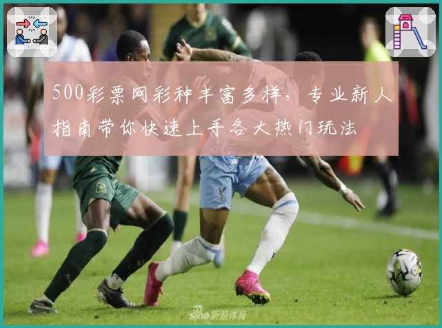 500彩票网彩种丰富多样，专业新人指南带你快速上手各大热门玩法