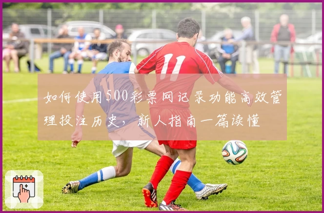 如何使用500彩票网记录功能高效管理投注历史，新人指南一篇读懂