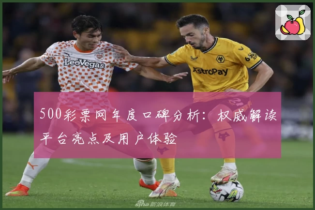 500彩票网年度口碑分析：权威解读平台亮点及用户体验