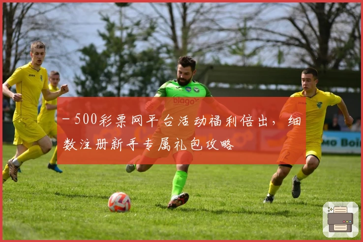 - 500彩票网平台活动福利倍出，细数注册新手专属礼包攻略